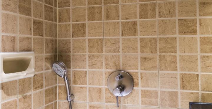 The Paradise By Tunga 3*