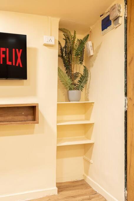 Apartamento House At The Heart Of Bandra.