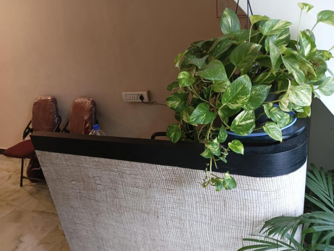 New Tara By Glitz Guest house