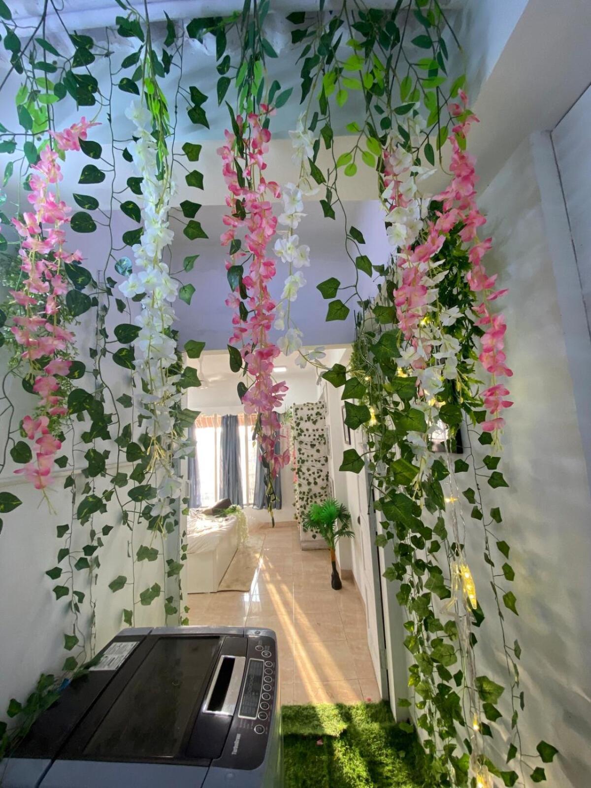 Apartment Pixiestays Forest House Juhu West Mumbai