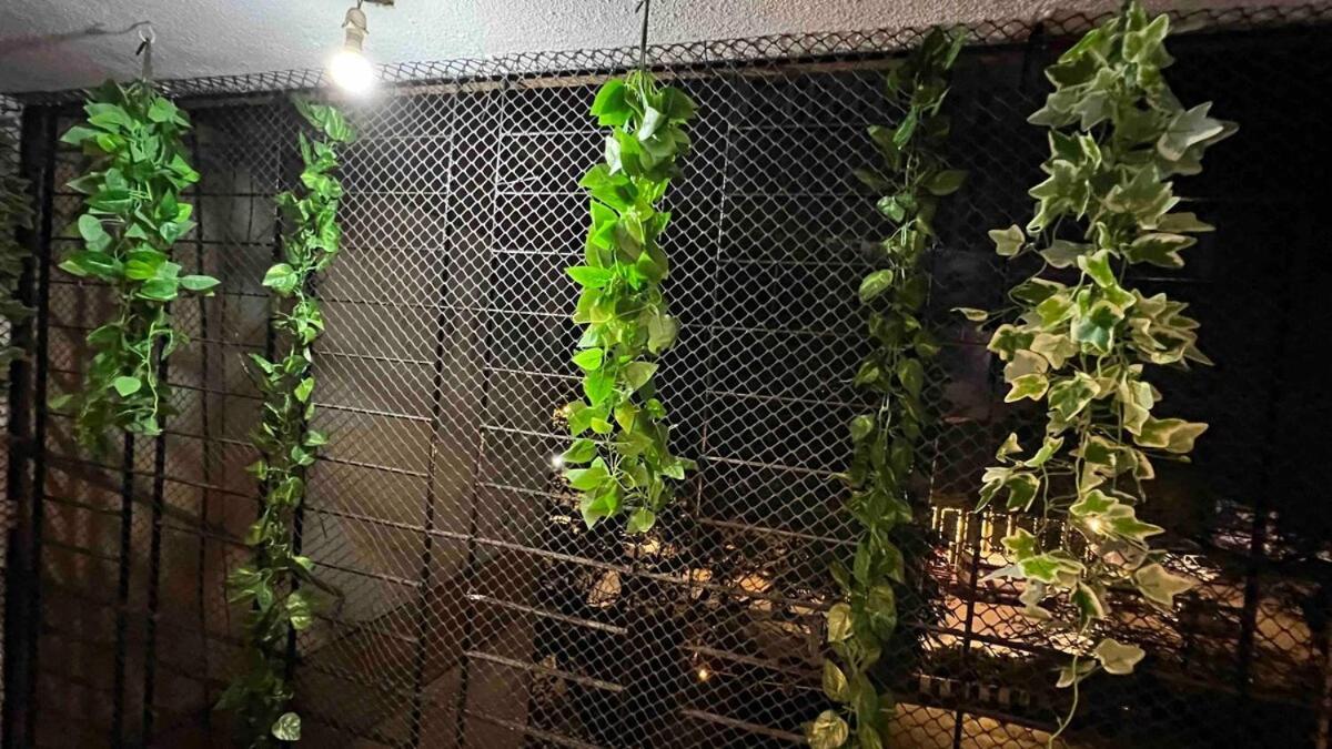 Entire Flat In Andheri West #08 Mumbai