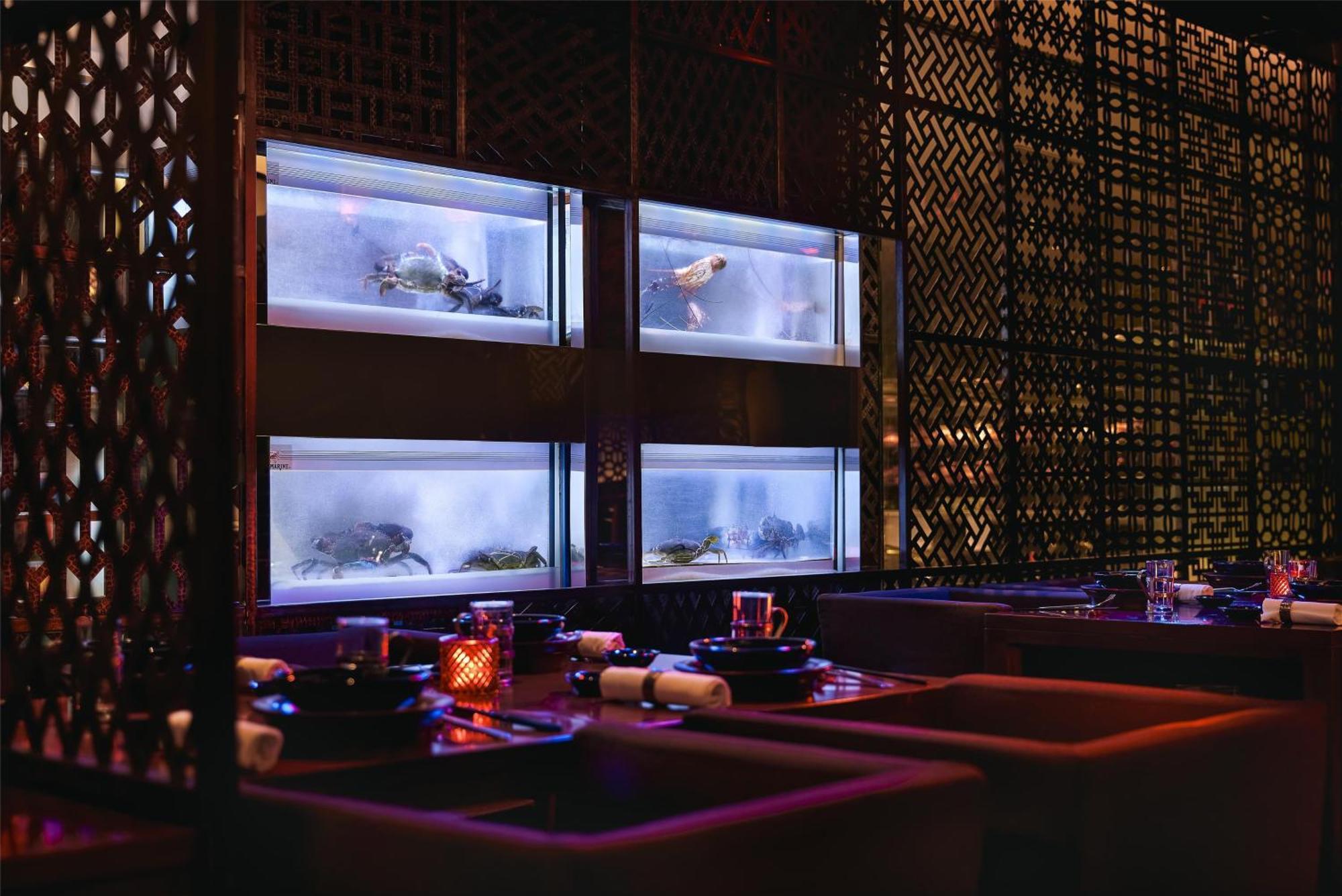 Hotel Grand Hyatt And Residences 5*