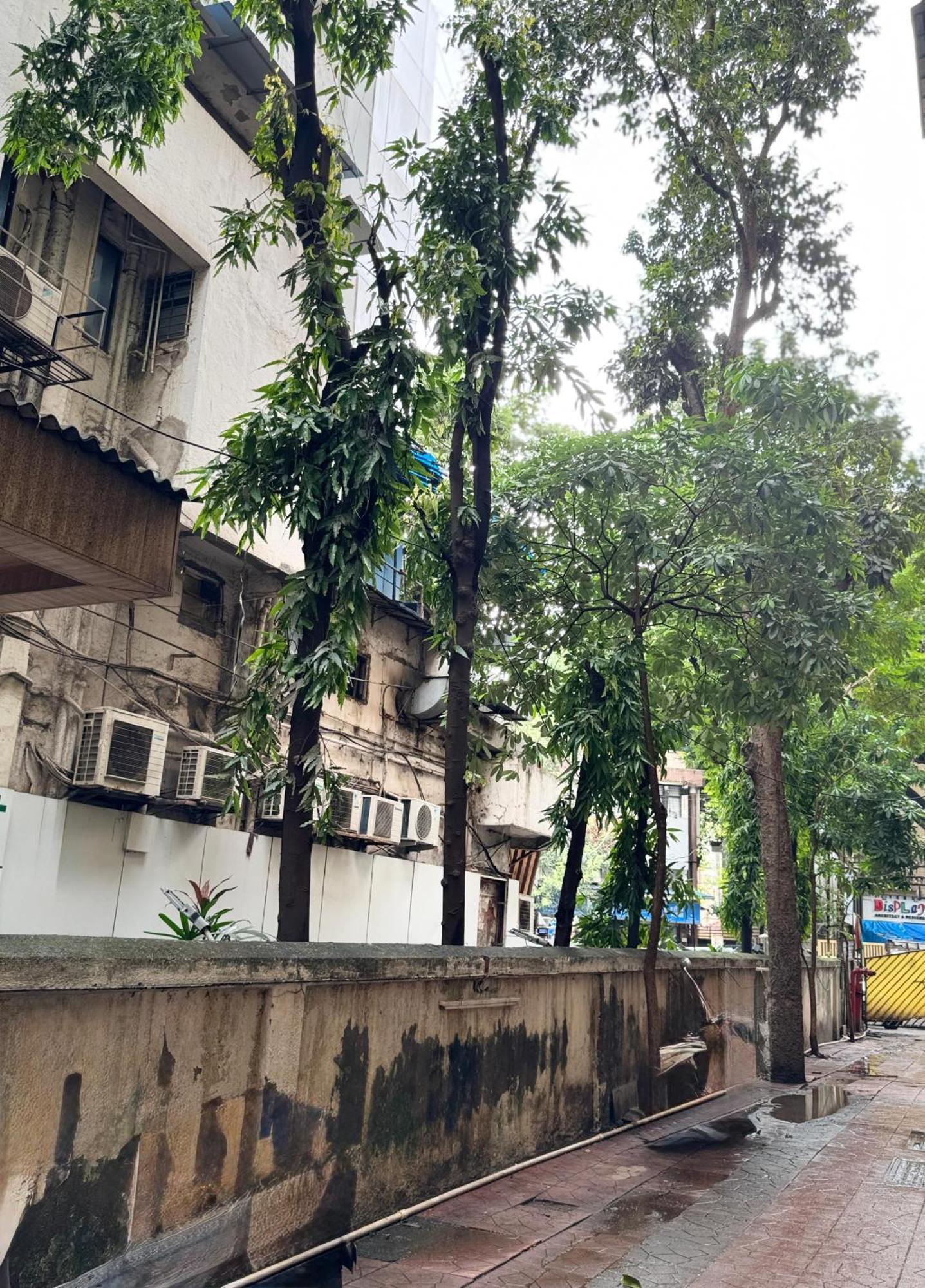 Hotel Comfort Castle 2*