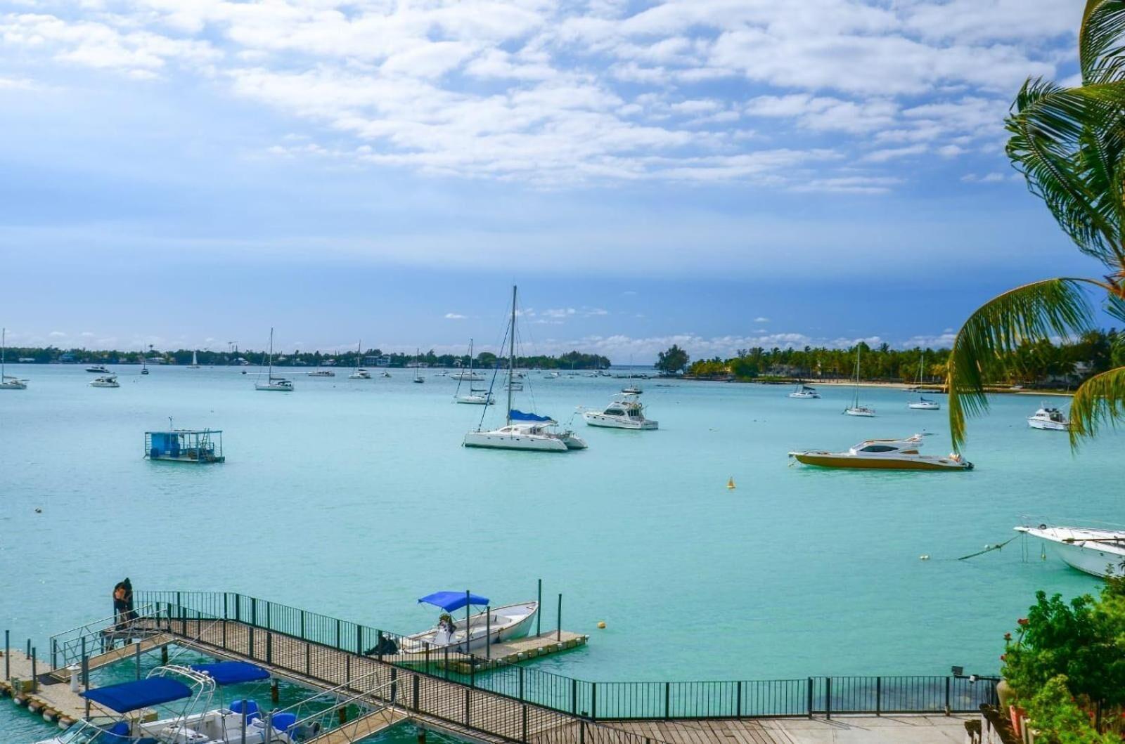 The Paradise By Tunga