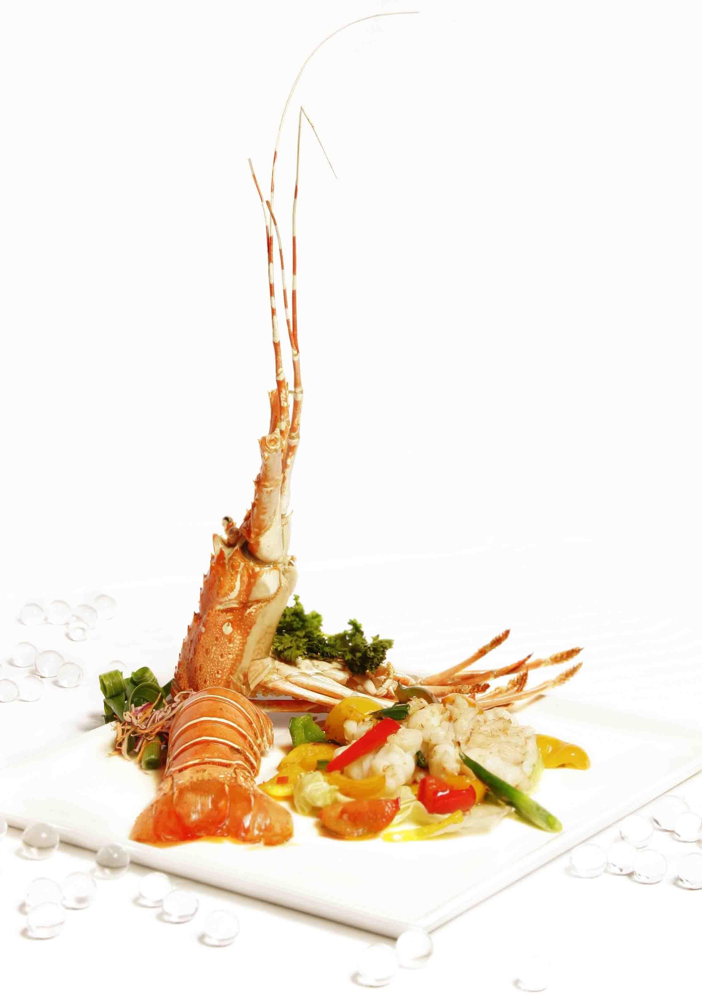 Hotel The Regale By Tunga Mumbai