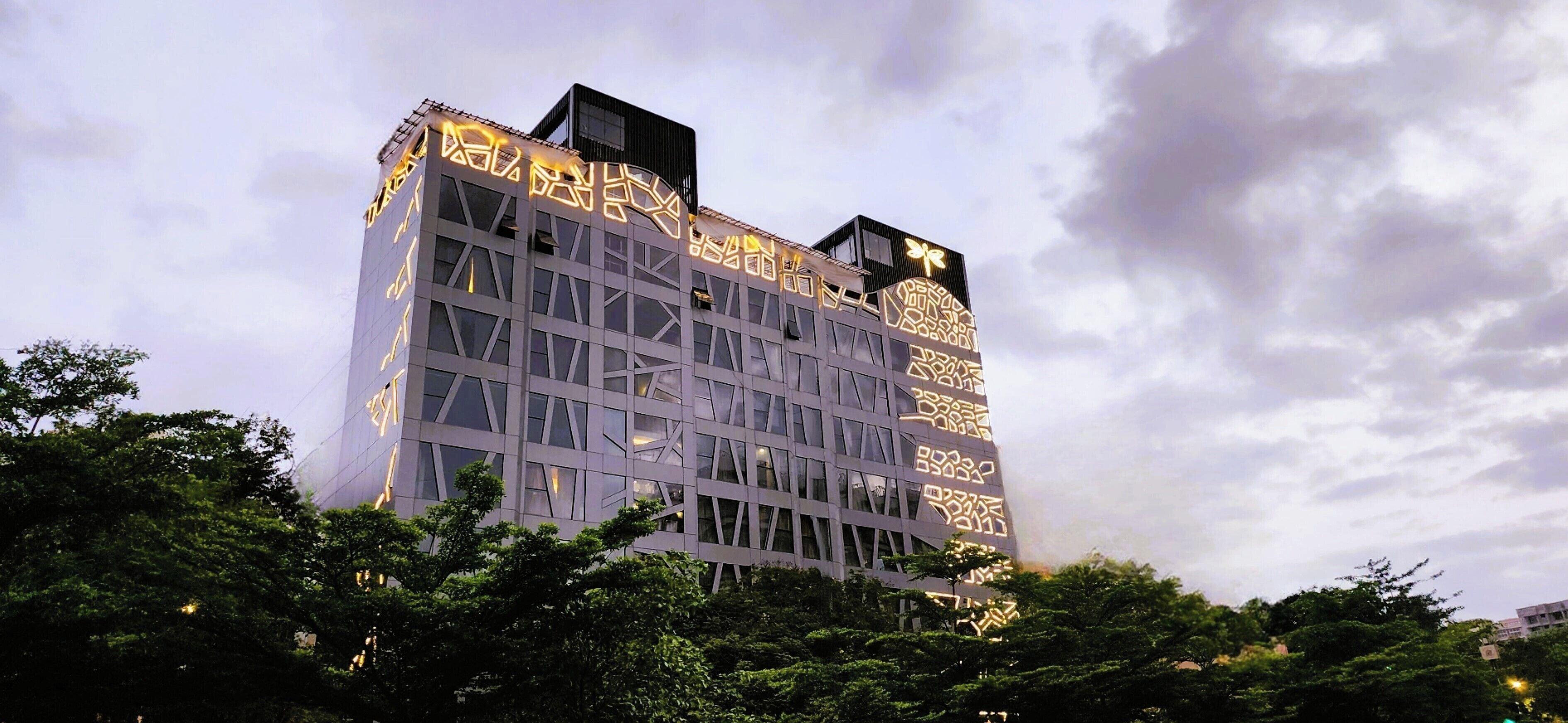 Dragonfly - The Art 4*