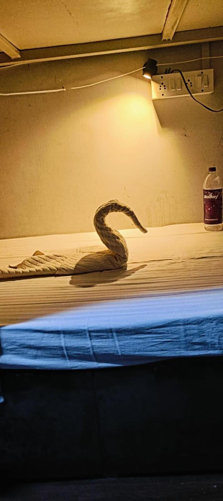 Hostel Ashyana And