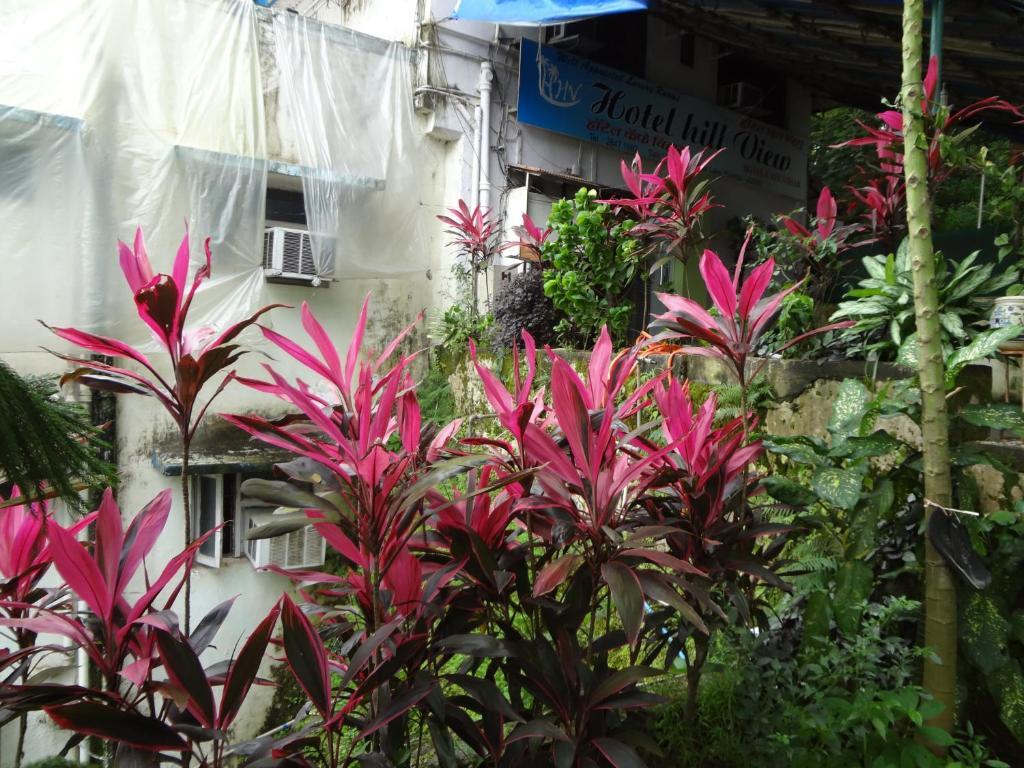 Hill View Hotel 2*