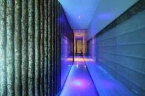 Alojamento Blue Orchids Executive
