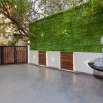 Collection O 30053 Shakti Sagar Juhu