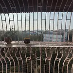 Pixiestays Forest House Juhu West Mumbai