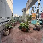 Pixiestays Forest House Juhu West Mumbai