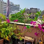 Rooftop Rendezvous - Artsy Terrace Garden Retreat