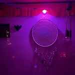 Oracle - Terrace Home Bandra