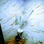 Royal Guest House And Dormitory In Asalpha