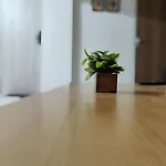 Warm Paradise-Calm Living