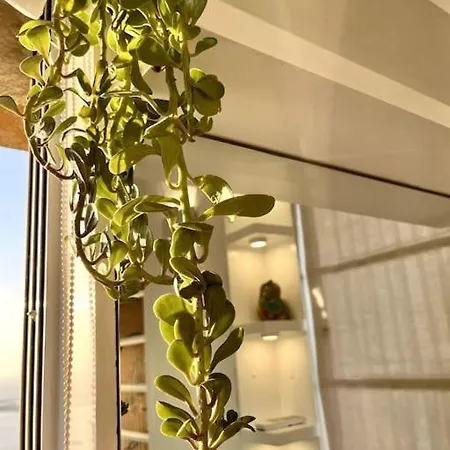 Apartment Top-floor Oceanfront Designer In Bandra
