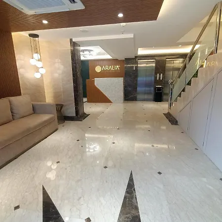 Aralia International Airport, 3*