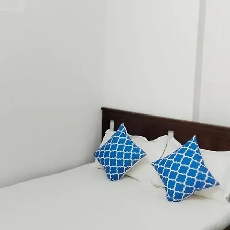 Apartment 1br In Lower Parel
