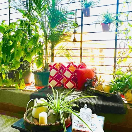 Homestay Sahakarya Chs