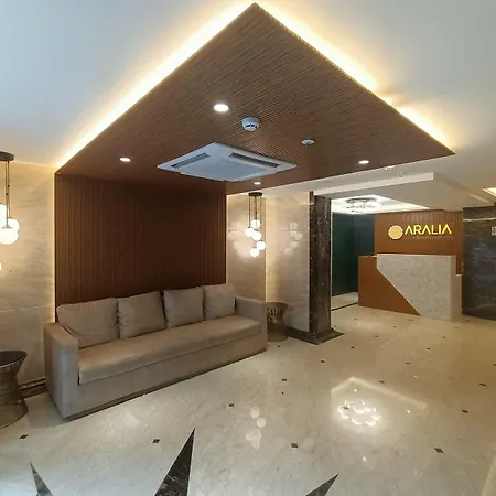 Aralia International Airport, Hotel