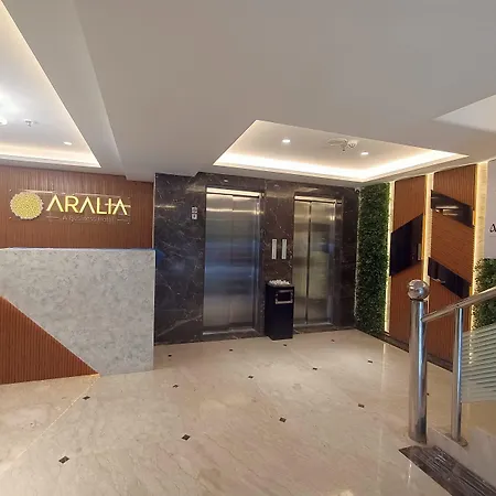 Hotel Aralia International Airport, 3*