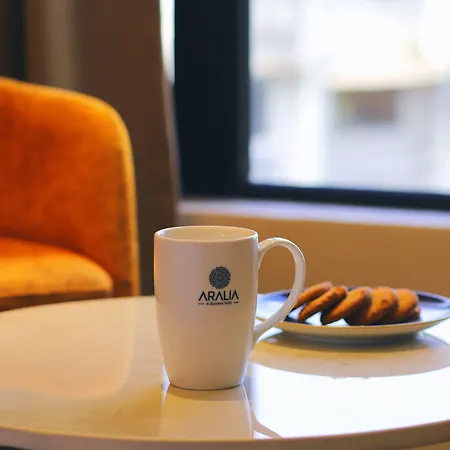Hotel Aralia International Airport, 3*