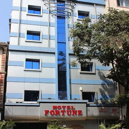 Fortune Hotel 3*