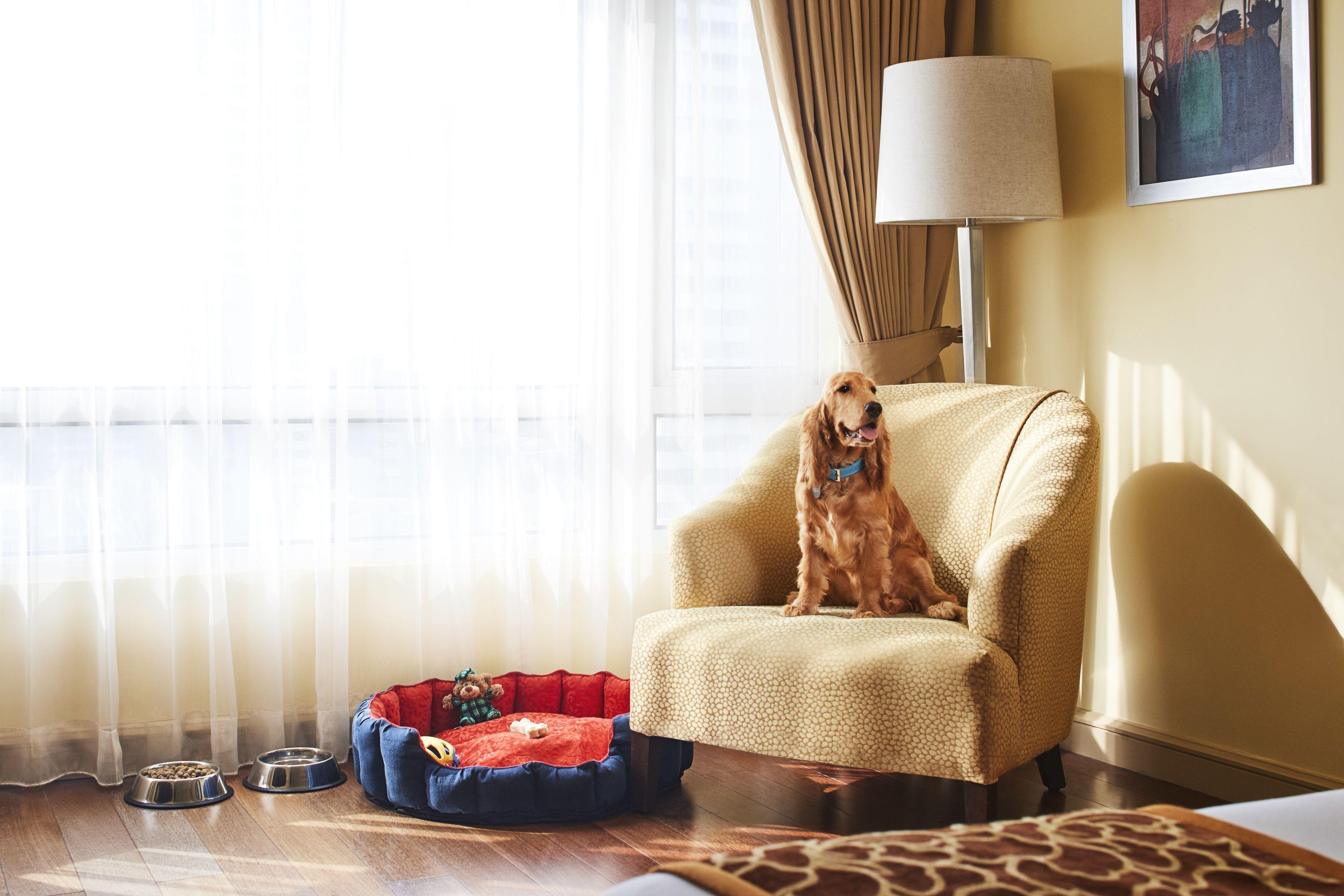 Hotel President - Ihcl Seleqtions Mumbai