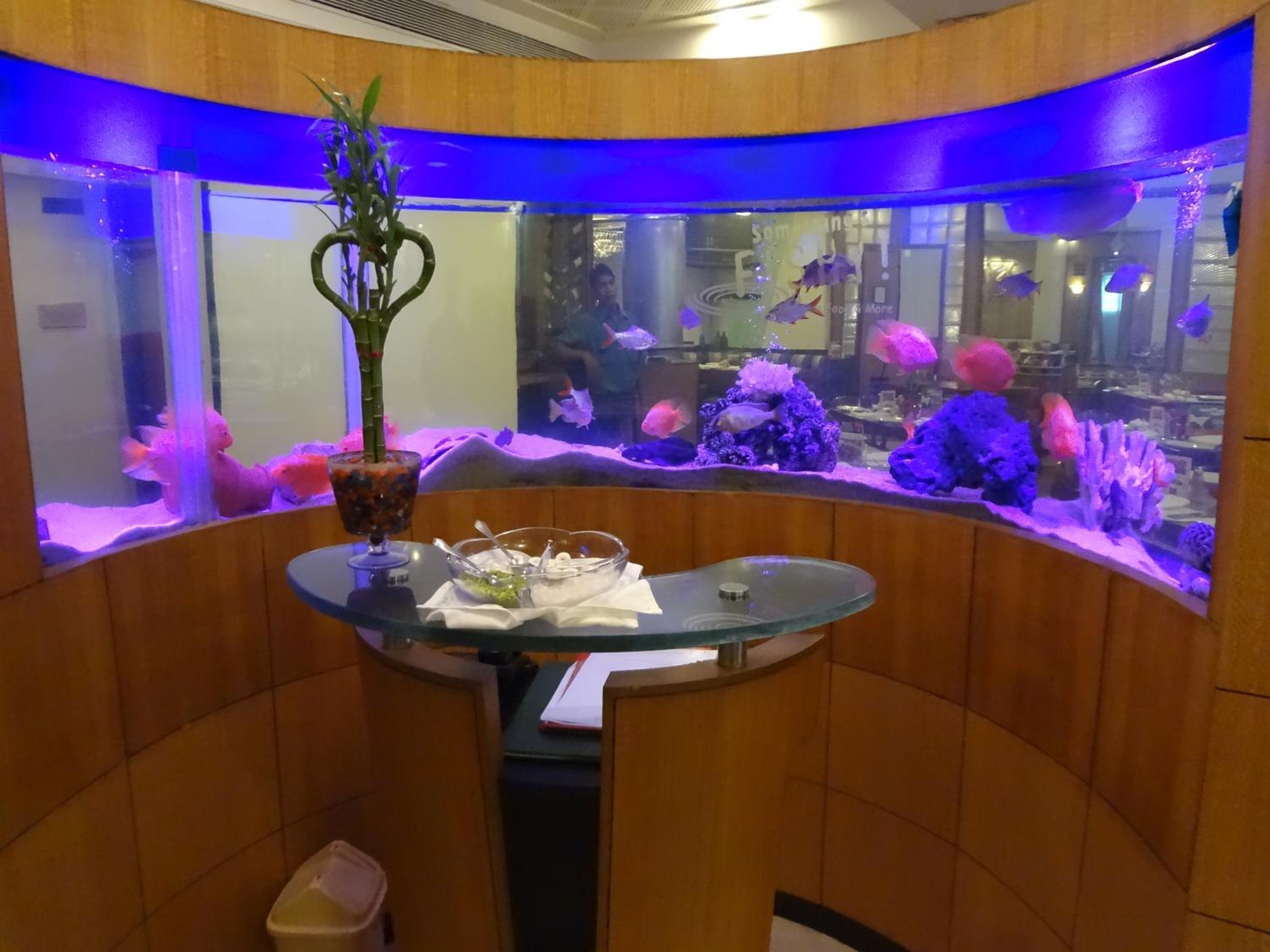 The International By Tunga Hotel Mumbai